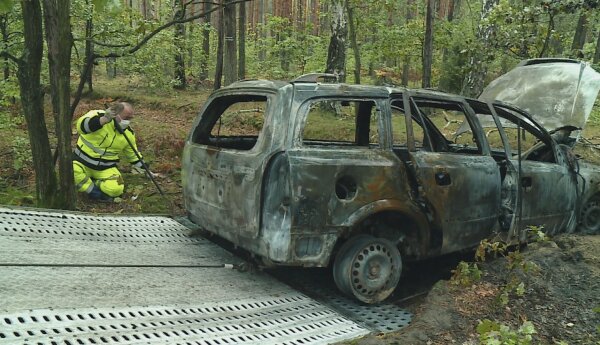 Spalone auto w lesie i Leon w rowie